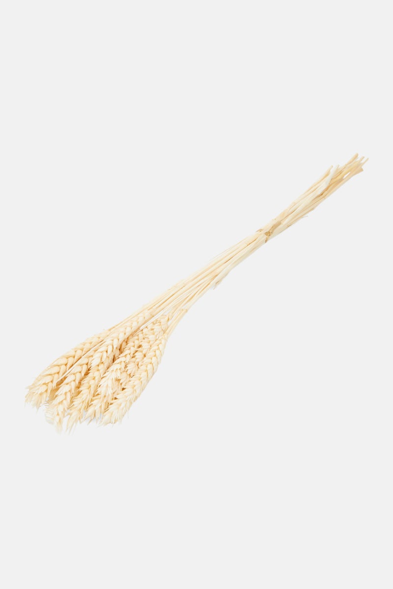 Muy Mucho Assorted Dried Flower 50cm, Pink Combo - Image 2